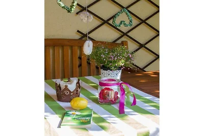 Kersenboomgaard bij Haus Bayer