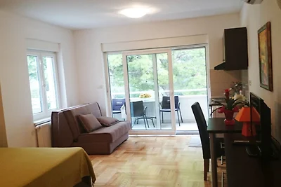 Apartments Despot Zaostrog RY