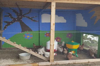 Ferienwohnung mit 1 Schlafzimmer