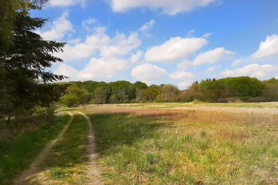 8 Personen Ferienhaus in Ebeltoft-By Traum