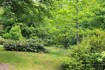 4 persoons vakantie huis in Åsljunga-By Traum