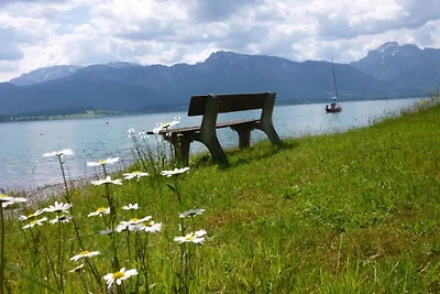 Domek w Dietringen z basenem