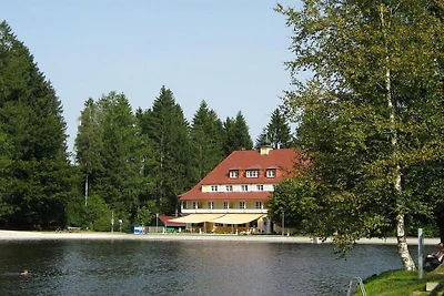 Hartmann-Scheidegg