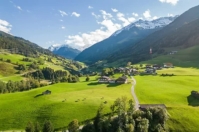 Wohnung in Mittersill nahe Skipisten