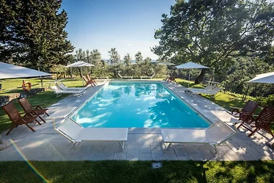 La Tinaia, Ginestra apart