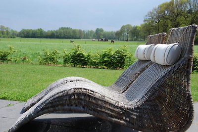 Stijlvolle vakantiewoning in Leende met...