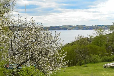 7 persone case ad LYSEKIL