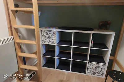 Les marmottes N°112 - ST5