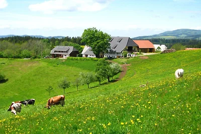 2 auf dem Brosihof||