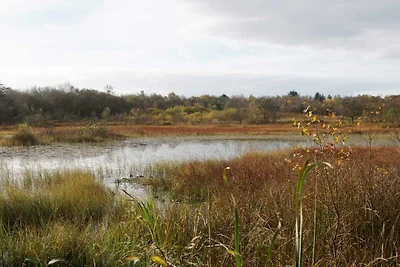 Luxurioses Seeruckzug-By Traum