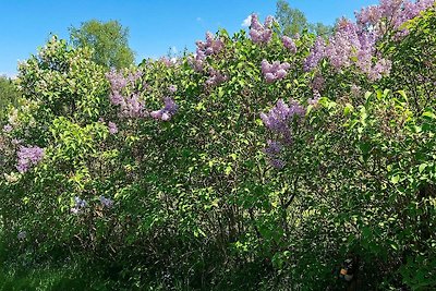 4 persoons vakantie huis in Södertälje-By...