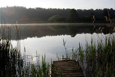 Reihenhaus Margerite in Lohmen