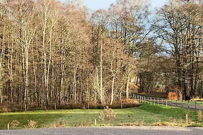 4 Sterne Ferienhaus in MUNKA-LJUNGBY