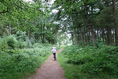 Bohlmann à Sandweg 17