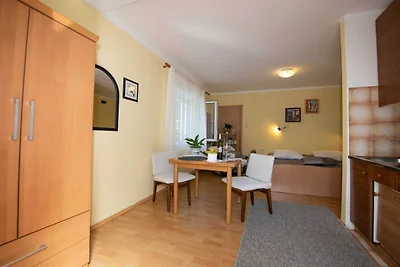 Elegant Opatija Apartments with Terrace - Stu...