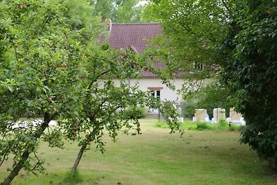 Komfortable Wohnung mit Pool