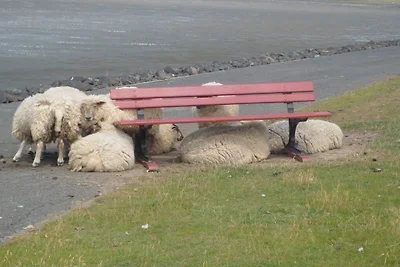 Vakantiehuis Ontspannende vakantie Vollerwiek