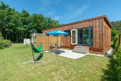 Chalet auf Texel nahe Strand und Wald
