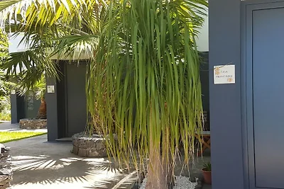 Quinta Golfinho - Casa Frangipani