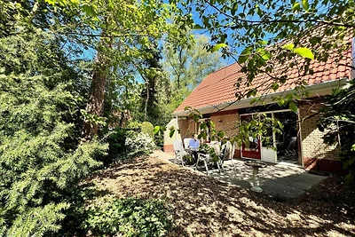 Ferienhaus Buitenplaats Berg mit 5 Zimmern
