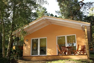 Maison de vacances à Zaue avec piscine