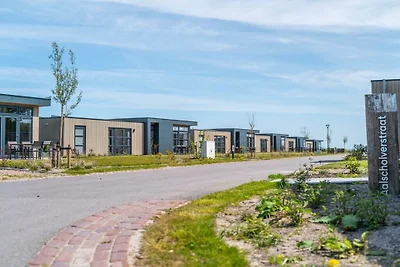 Ferienhaus Erholungsurlaub Enkhuizen