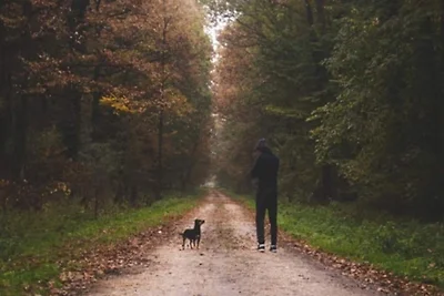 4 Sterne Ferienhaus in Hampen