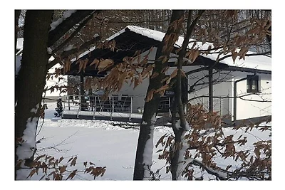 Holiday home in Walkenried with barbecue