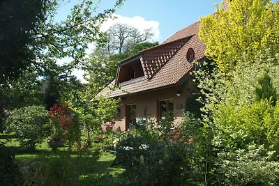 Paradies am Stadtsee
