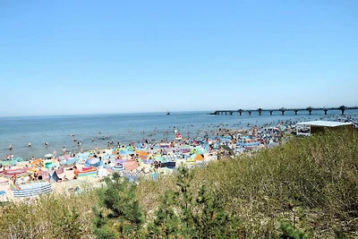 Wohnung in Dziwnów am Ostseestrand