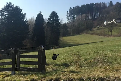 Villa in Hallenberg mit Schwimmbecken