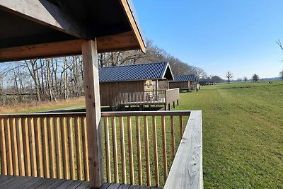 Leuke lodge met vrij uitzicht in Drenthe