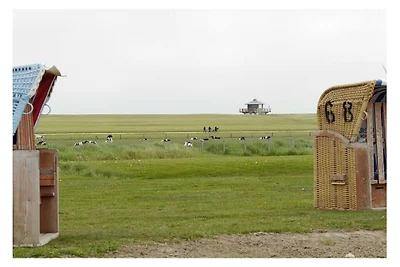 Ferienwohnung mit 2 Schlafzimmer