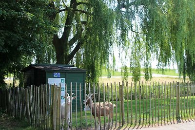 Genieten in een 6-persoons bungalow