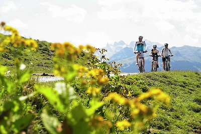 Wohnung in St. Gallenkirch nahe Skilift