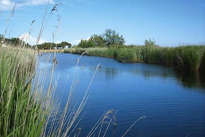 Appartement in Ghisonaccia aan zee-voorheen T...