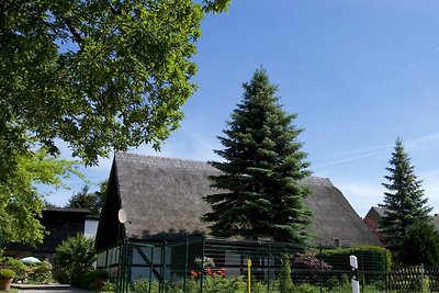 Gemütliches Ferienhaus in Gegensee mit Garten