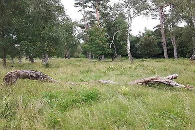 14 Personen Ferienhaus in Idestrup