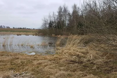 6 Personen Ferienhaus in Slagelse-By Traum