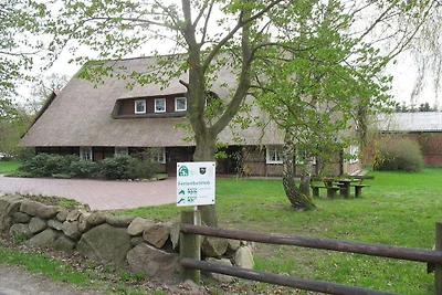 Dielenwohnung Klaucke