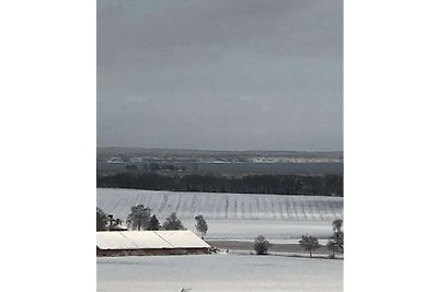 Nido di civetta nella casa vista mare