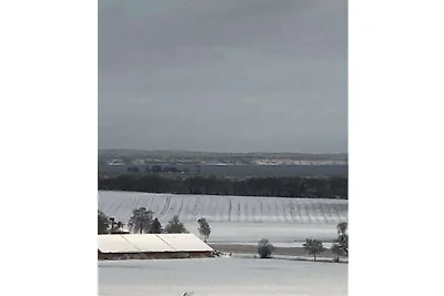 Eulennest im Haus Meerblick