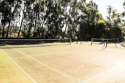 Die Hהuser auf Restanques von St. Tropez