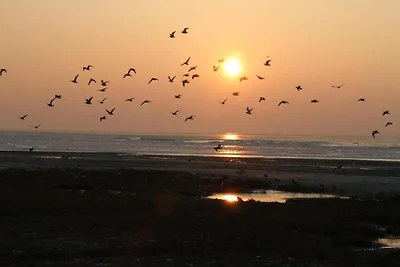 Schönes Chalet in Hollum in der Nähe der Düne