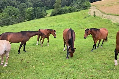 Vakantieappartement met 1 slaapkamer