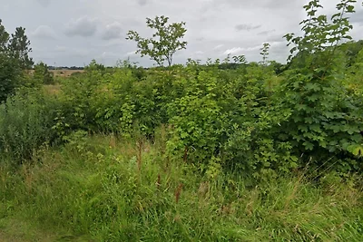 4 Personen Ferienhaus in Ansager-By Traum