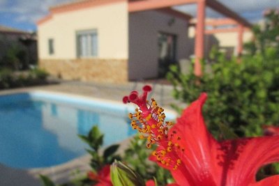 Villa Romeo Comfortabele vakantiewoning