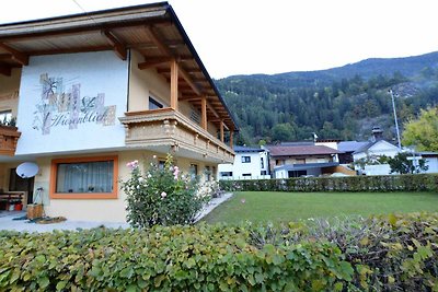 Gemütliche Wohnung in Oetz nahe Skigebiet