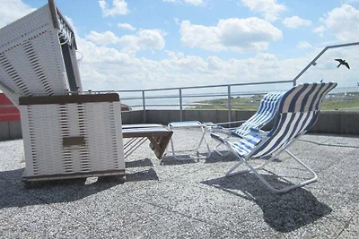 Lüttje Strandflieder