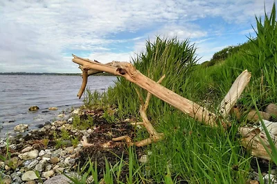 7 persone case ad Kolind-By Traum